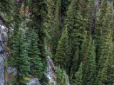 20140904-IMG 3042