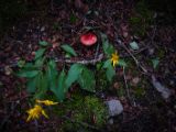 20140904-IMG 3050