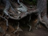20140904-IMG 3106