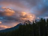 20140904-IMG 3161