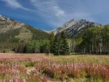 20140905-IMG 3197
