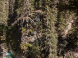 20140905-IMG 3216