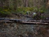 20140905-IMG 3436