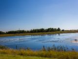 20140906-IMG 3485