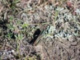 20140906-IMG 3513