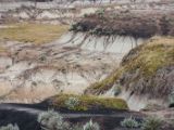 20140906-IMG 3516
