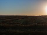 20140906-IMG 3664