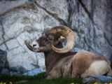 20140907-IMG 3697