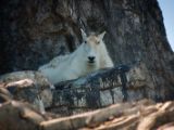20140907-IMG 3698