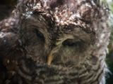 20140907-IMG 3710