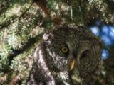 20140907-IMG 3719