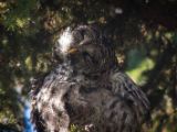 20140907-IMG 3747