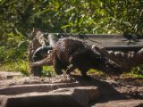 20140907-IMG 3765