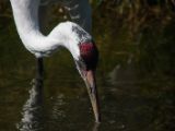 20140907-IMG 3797