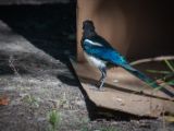 20140907-IMG 3804