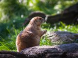 20140907-IMG 3835
