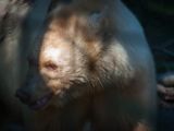20140907-IMG 3842