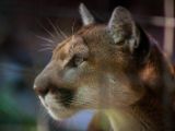 20140907-IMG 3848