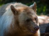 20140907-IMG 3850
