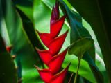 20140907-IMG 3867