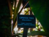 20140907-IMG 3869