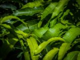 20140907-IMG 3870