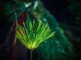 20140907-IMG 3874
