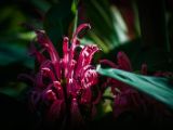 20140907-IMG 3877