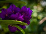 20140907-IMG 3878