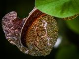 20140907-IMG 3889