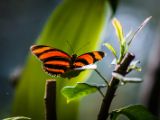 20140907-IMG 3892