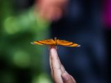20140907-IMG 3897