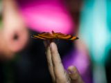 20140907-IMG 3899