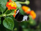 20140907-IMG 3916