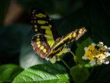 20140907-IMG 3919