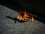 20140907-IMG 3924