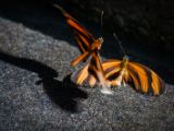 20140907-IMG 3925