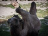 20140907-IMG 3927