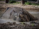 20140907-IMG 3932