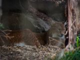 20140907-IMG 3939