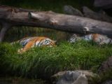 20140907-IMG 3948