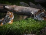 20140907-IMG 3959