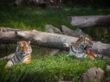 20140907-IMG 3964
