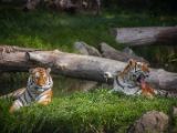 20140907-IMG 3965
