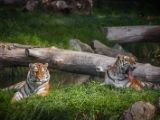 20140907-IMG 3967
