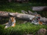 20140907-IMG 3968