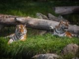 20140907-IMG 3969