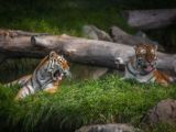 20140907-IMG 3971