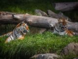 20140907-IMG 3972