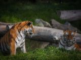 20140907-IMG 3974